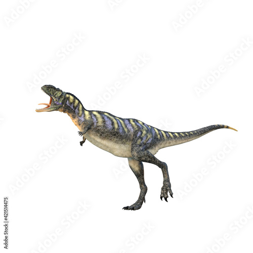 Aucasaurus dinosaur with mouth open. 3D illustration isolated on white background.