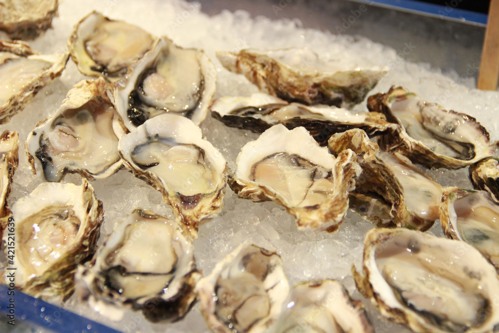 International Buffet - Oyster on Ice International Buffet - Oyster on Ice
