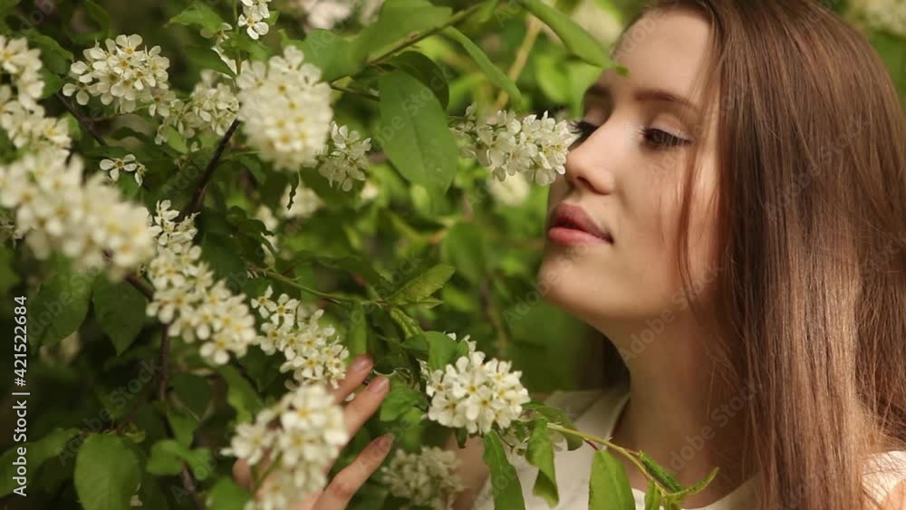 Woman inhales the smell of blooming bird cherry Woman inhales the smell of blooming bird cherry