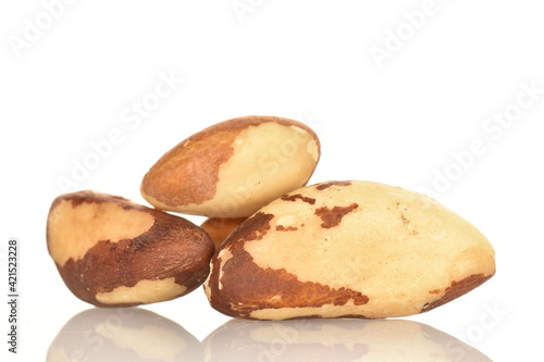 Several ripe organic Brazil nuts, close-up, isolated on white.