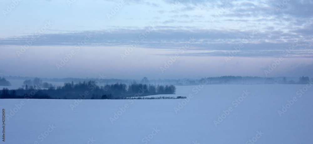 Winter morning landscape. Dawn. The field covered with snow, clouds and the wood in a distance are covered with an unusual blue haze.