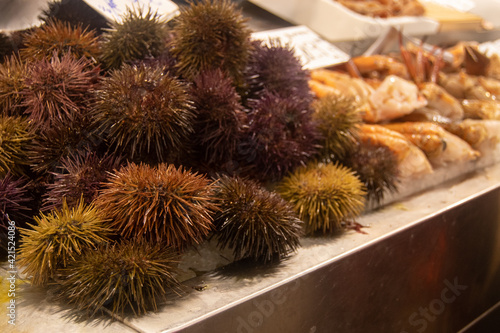 Wallpaper Mural Sea ​​urchins. Marketplace in the city of Cádiz Torontodigital.ca