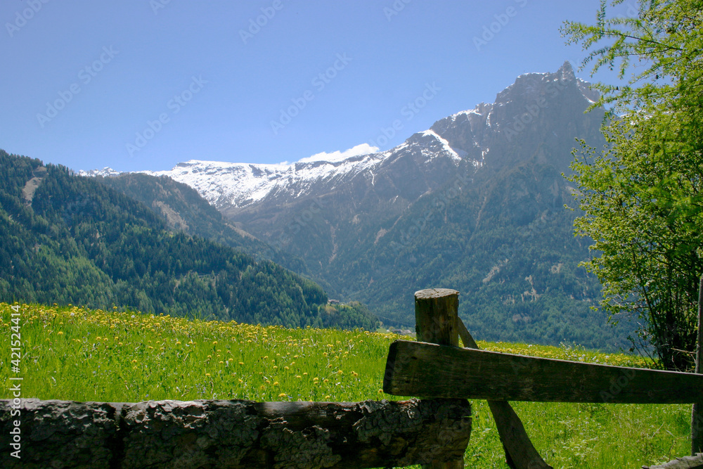 Blick auf die Bergwelt mit grüner Alm rund um Kastelruth, Südtirol, Italien