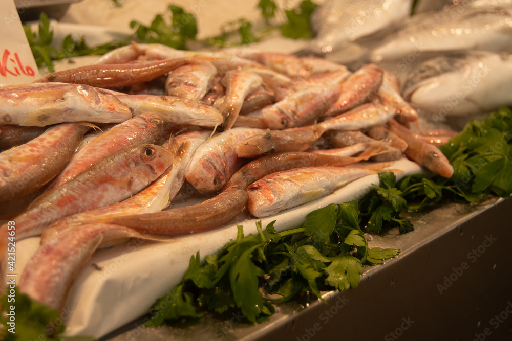 Fresh fish. Marketplace in the city of Cádiz