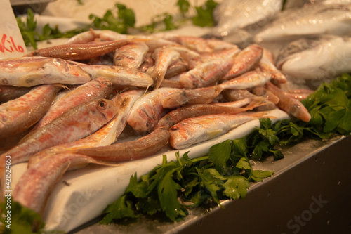 Wallpaper Mural Fresh fish. Marketplace in the city of Cádiz Torontodigital.ca