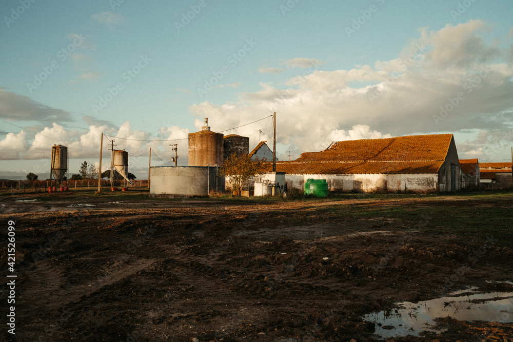 Farm Farm