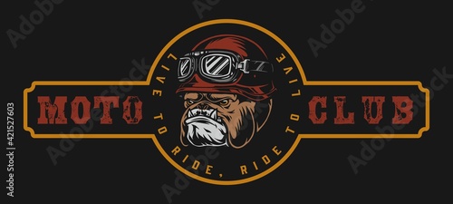 Vintage motorcycle club colorful logo