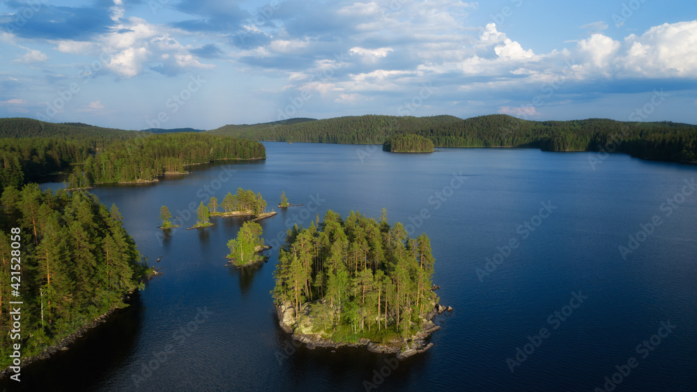 Small islands with pine-trees in the middle of Isojarvi lake.  Beautiful landscape scenery with clear blue water in National park. Finland, Europe.