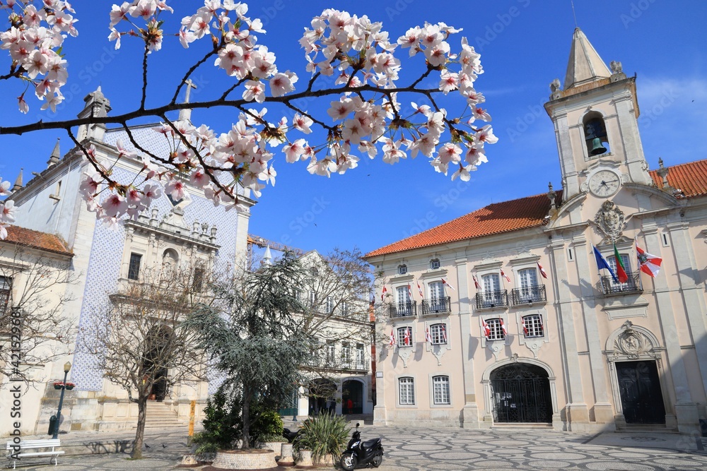 Spring in Aveiro, Portugal