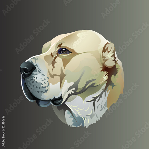 Beautiful realistic vector portrait of a dog breed of central Asian Shepherd 
Amazing figure item for logo or awards 
Alabai breed watchdog