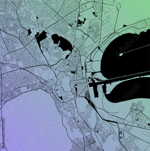 Tunis, Tunisia (TUN) - Urban vector city map with parks, rail and roads, highways, minimalist town plan design poster, city center, downtown, transit network, street blueprint