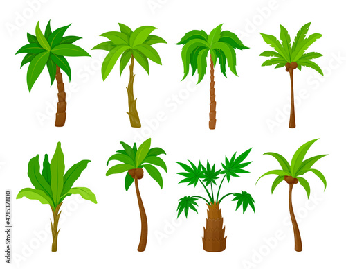 Set palm tree vector flat illustration cartoon tropical plants natural coconut wood