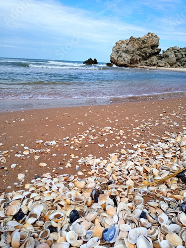 beach and rocks