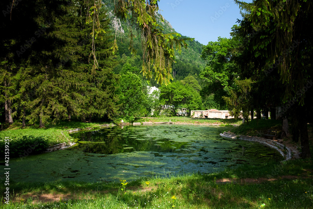 Romantic and relaxing mountain landscape with mountain lake, reflection on tranquil water and water lilies in Lazarev canyon, Serbia