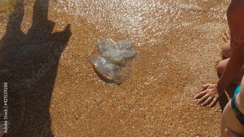 Children found a jellyfish washed up on a beach near the sea