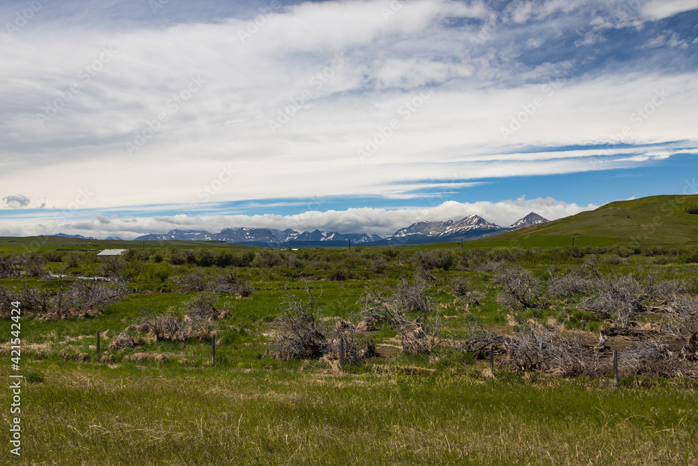 Naklejka premium Snow-covered mountain peaks, Glacier National Park, Montana