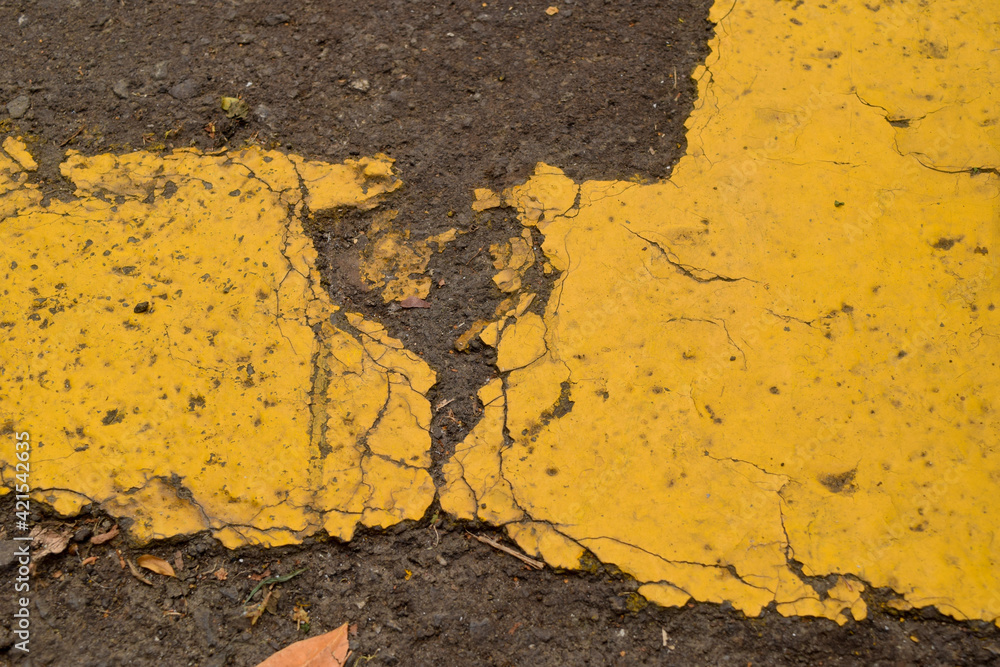 Fototapeta premium yellow line car park. road texture background