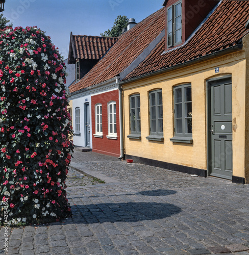 Smaal colorful houses at street in Odense Denmark. photo