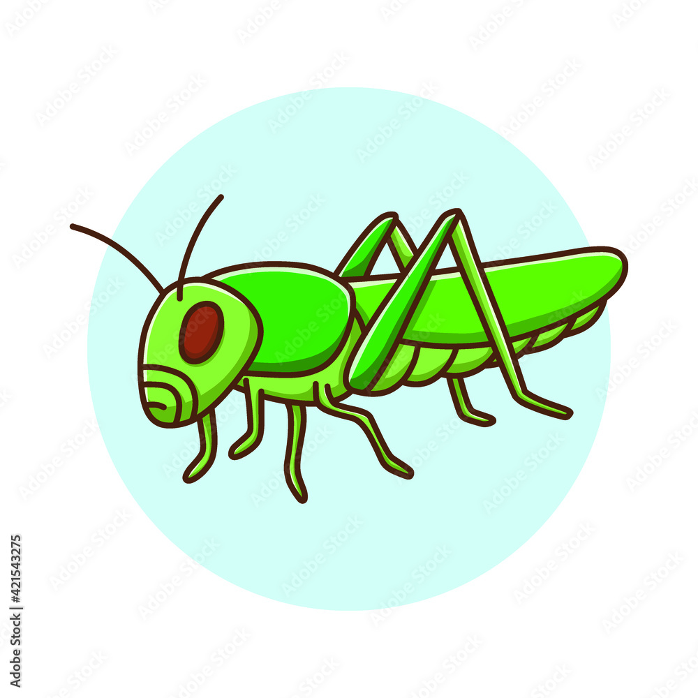 Grasshopper Kids Drawing Cartoon. Insect Fly Mascot Vector Illustration. Zoo Animal Cute Character Stock Vector | Adobe Stock Grasshopper Kids Drawing Cartoon. Insect Fly Mascot Vector Illustration. Zoo Animal Cute Character Stock Vector | Adobe Stock
