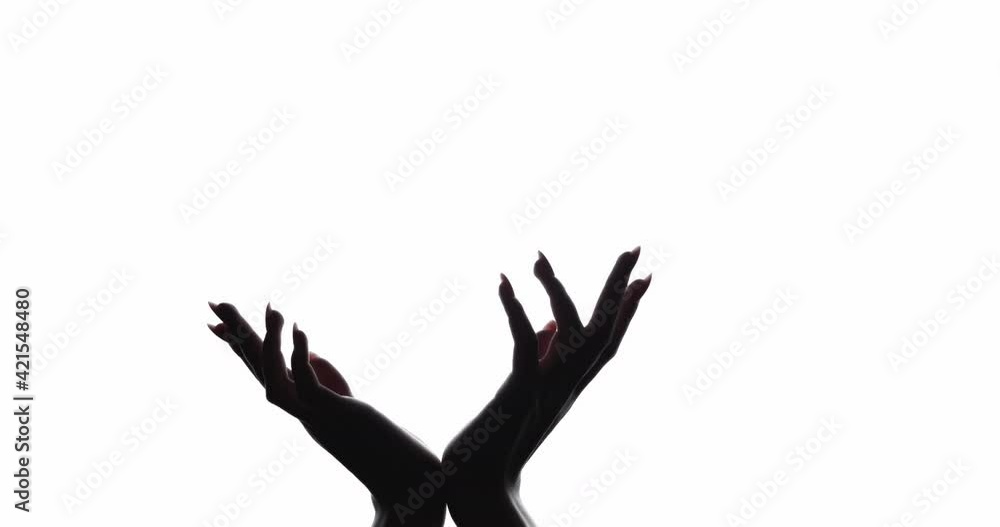 Hand silhouette. Ecology banner. Environmental protection. Dark shadow of tender woman open palms growing up blooming showing invisible information isolated on white copy space advertising background. Hand silhouette. Ecology banner. Environmental protection. Dark shadow of tender woman open palms growing up blooming showing invisible information isolated on white copy space advertising background.