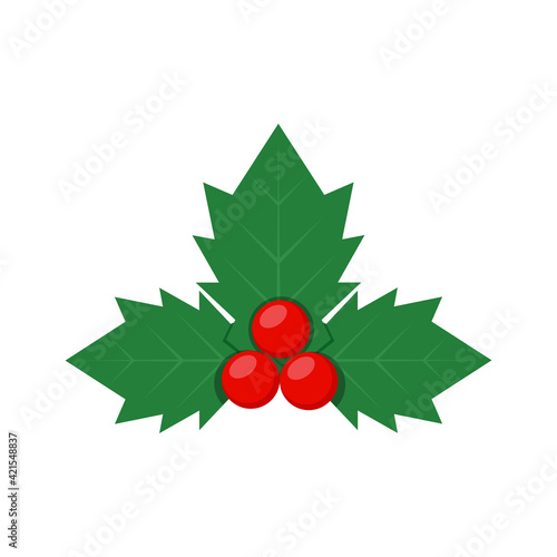 Holly. Vector illustration.