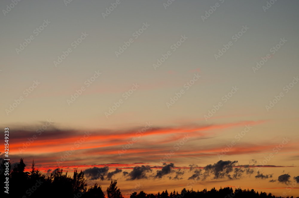 sunset over trees with bright orange stripes of clouds in the sky