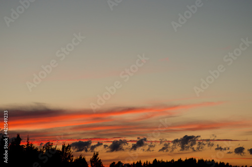 sunset over trees with bright orange stripes of clouds in the sky