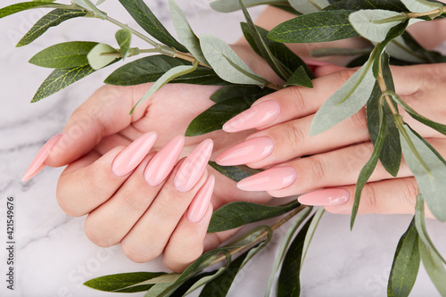 Hands with long artificial manicured nails colored with pink nail polish. Fashion and stylish manicure. photo