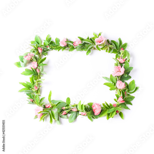 frame of fresh flowers on a white background. pink buds and green rose leaves. flat lay, square frame