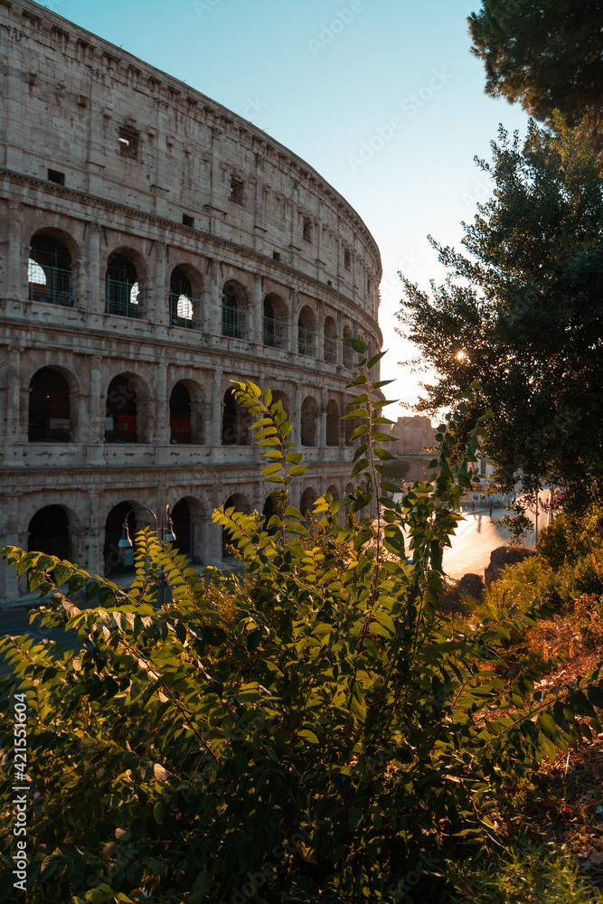 Exterior view of Colosseum in Rome city