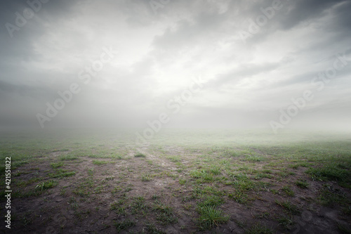 Beautiful grass background with mist and clouds