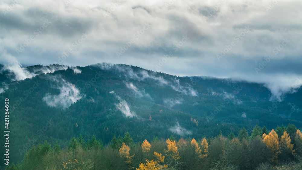 Germany, Foggy mystic view above wide green trees of german black forest nature landscape and mountains after rain
