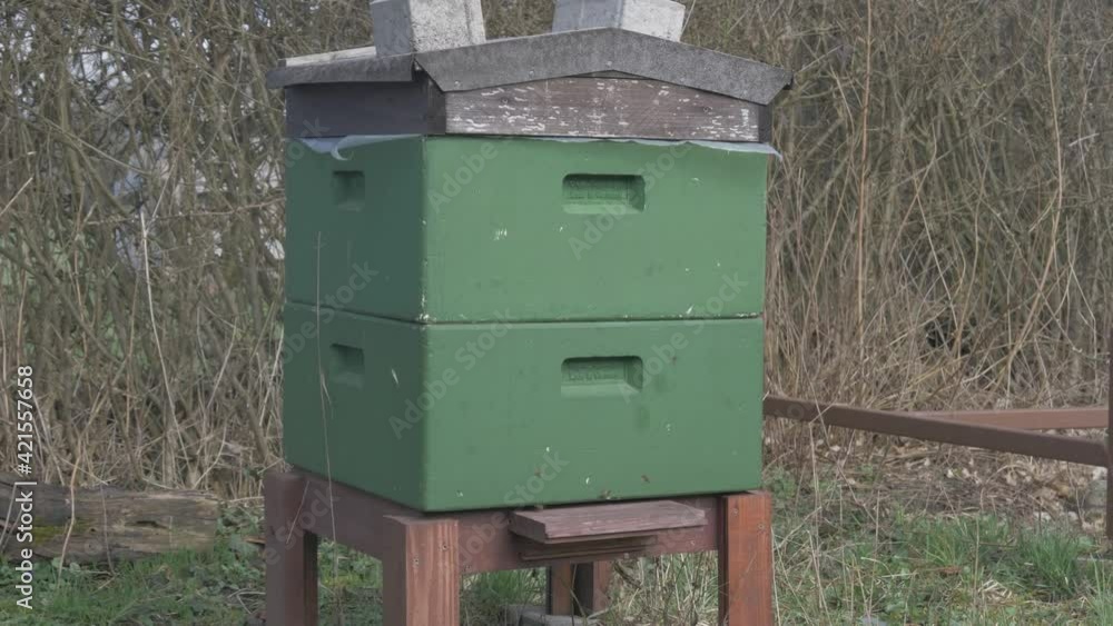 Green Beehive with Honey Bees. Green Beehive with Honey Bees.