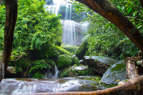 Fototapeta Naklejka Na Ścianę i Meble -  waterfall in the forest