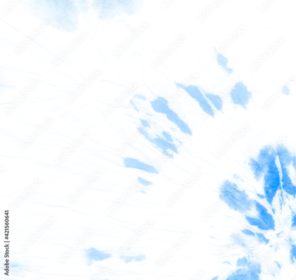 Fototapeta premium Blue Printed Tie. Dyed Stripe Fun Designs.