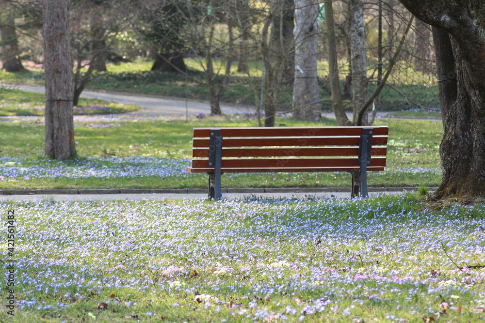 Fototapeta premium Bank im Park