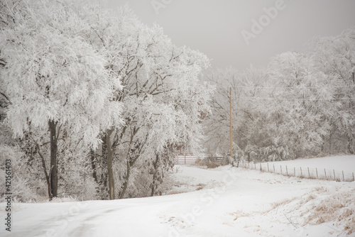 snow covered road in winter