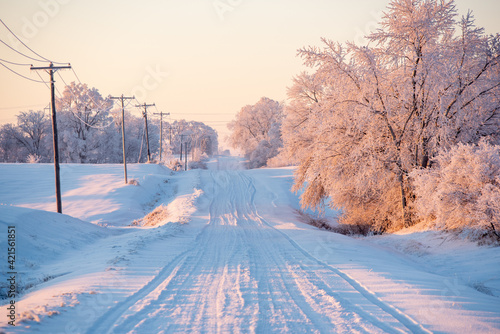 winter landscape with snow on a gravel road