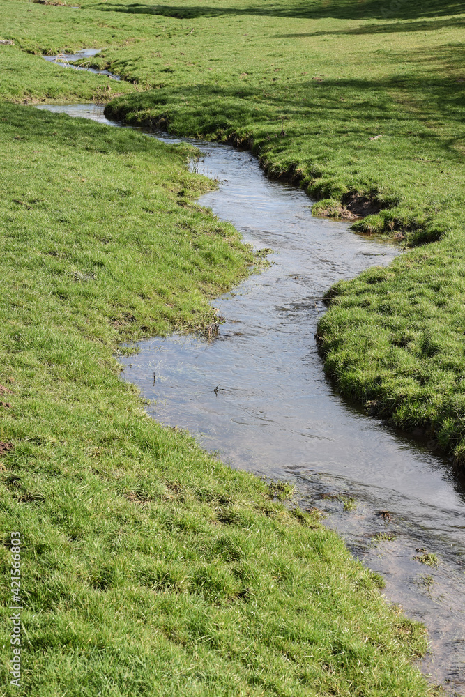 eau riviere ruisseau environnement Wallonie Belgique