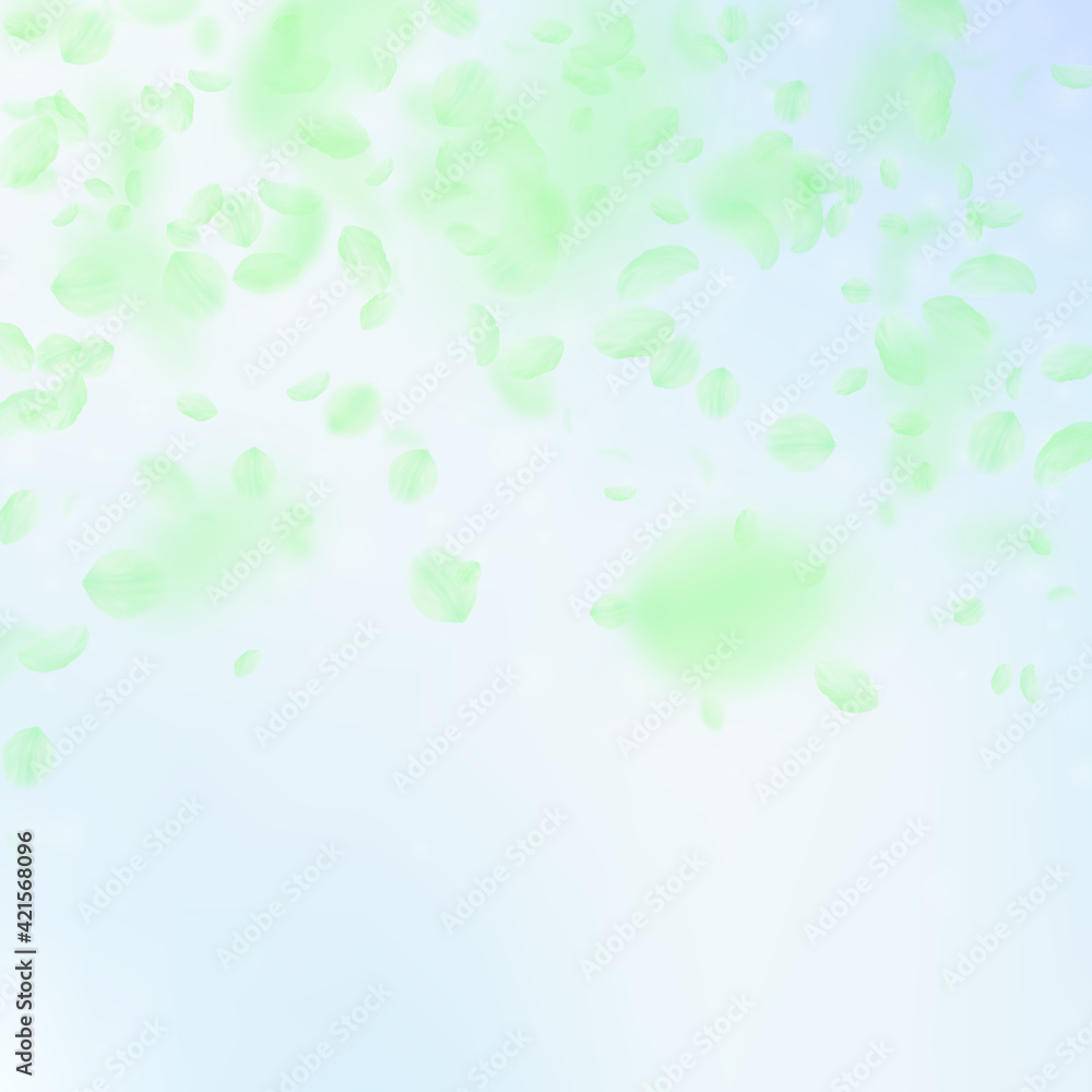 Green flower petals falling down. Delicate romanti Green flower petals falling down. Delicate romanti