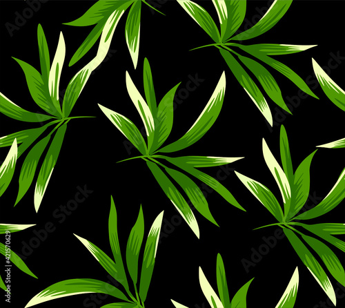 leaf palms green