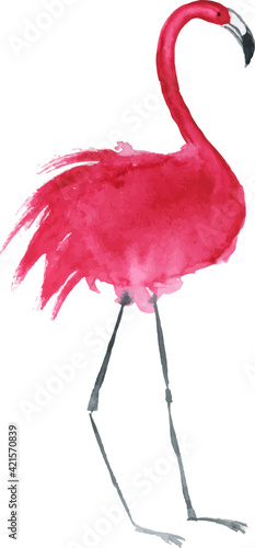 Watercolor clipart pink flamingo on a white. Hand draw