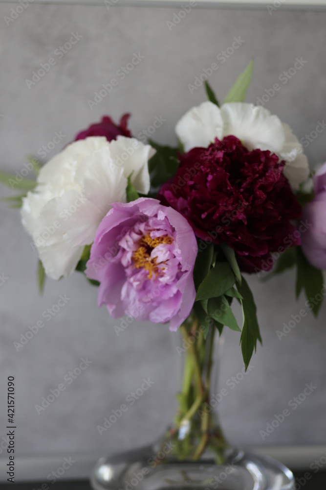 Fototapeta premium flowers in vase