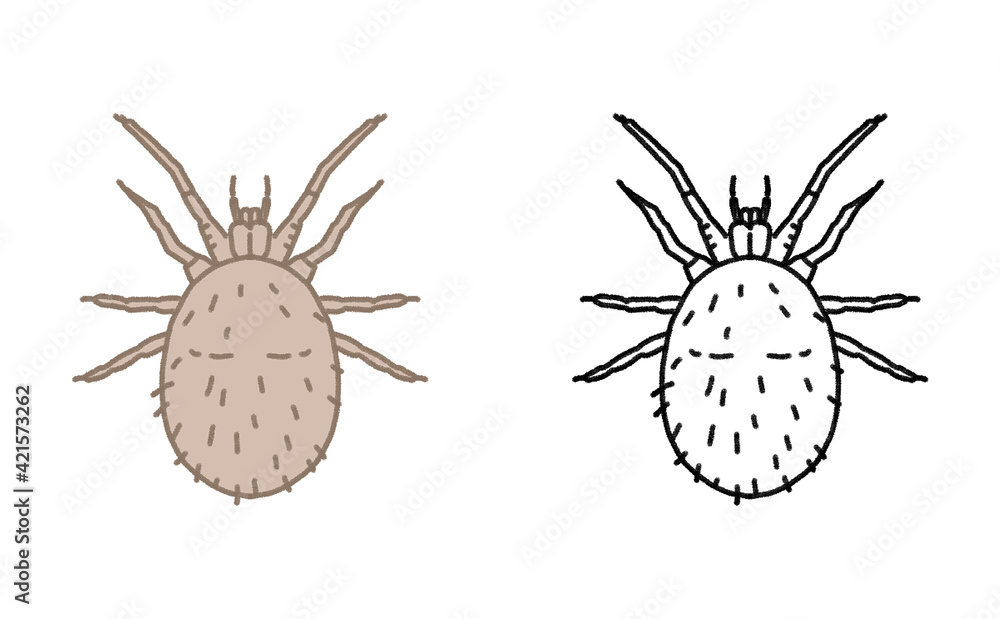 害虫 単体 ダニ イラスト Stock イラスト Adobe Stock 害虫 単体 ダニ イラスト Stock イラスト Adobe Stock