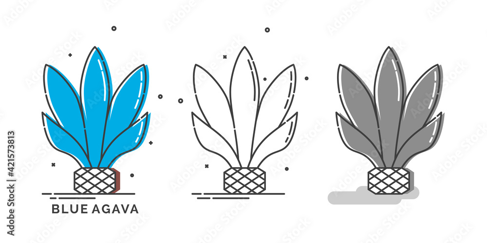 Fototapeta premium Blue agave plant for distill tequila. Isolated logo on white background. Three kinds flat style image of agricultural product with text caption. Line art design in thin dashed lines