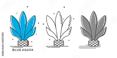 Blue agave plant for distill tequila. Isolated logo on white background. Three kinds flat style image of agricultural product with text caption. Line art design in thin dashed lines