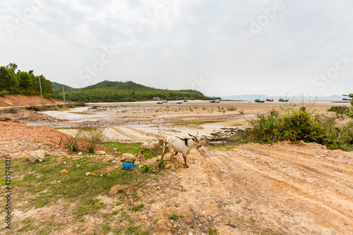 Quan Lan island Halong Vietnam photo