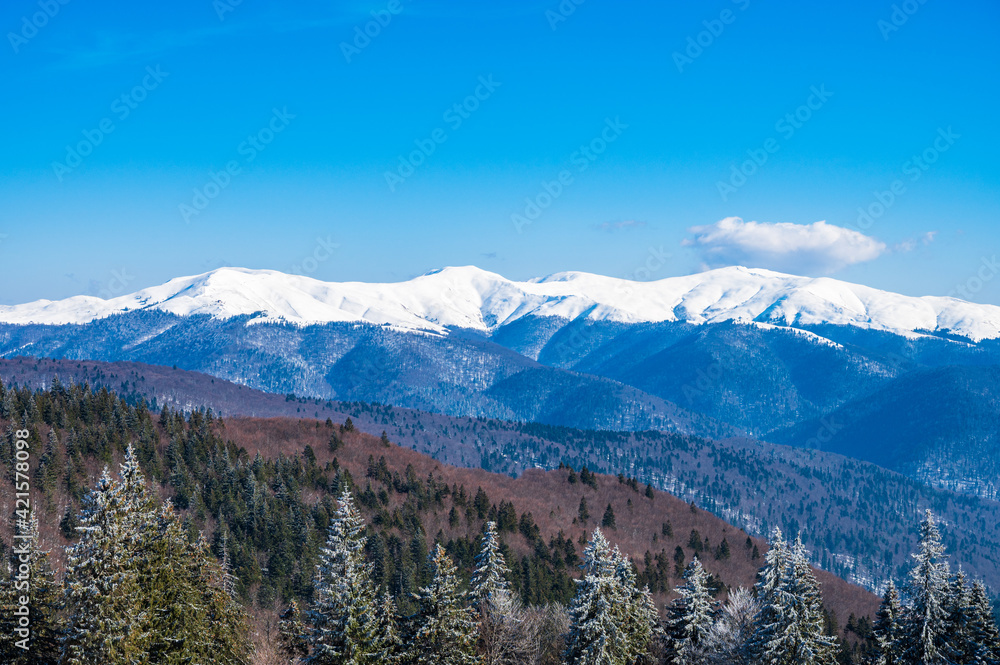 Snowy mountain range in Romanian Carpathians near Brasov