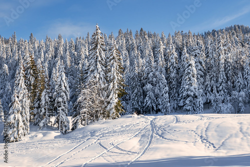 paysage ensoleillé du Jura en hiver 