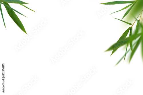 Fototapeta Naklejka Na Ścianę i Meble -  Bamboo green fresh leaves. Corners kit on white background